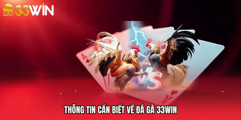 Thông tin cần biết về đá gà 33WIN