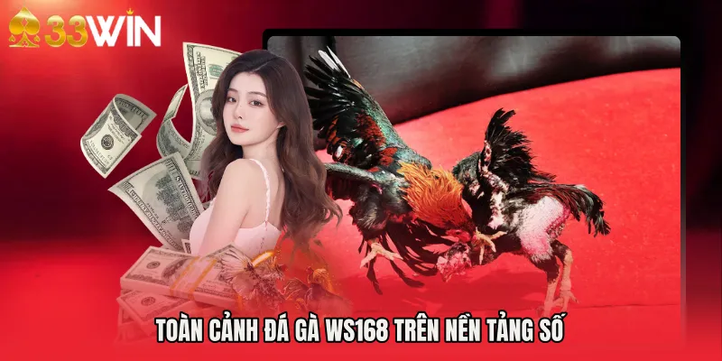 Toàn cảnh Đá gà WS168 trên nền tảng số